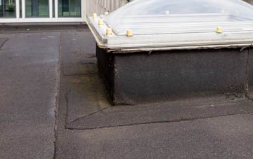 disadvantages of Ballydarrog flat roofs