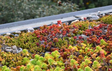 the cost of Ballydarrog green roof installation