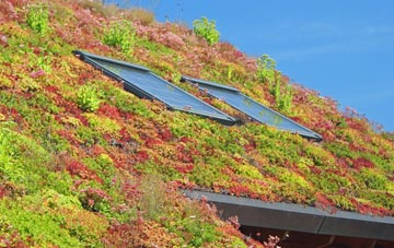 Ballydarrog living roof systems