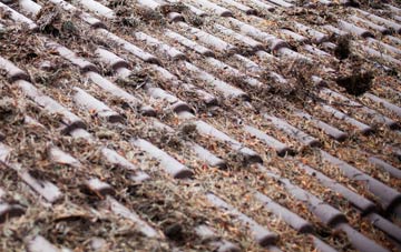 Ballydarrog roof cleaning companies