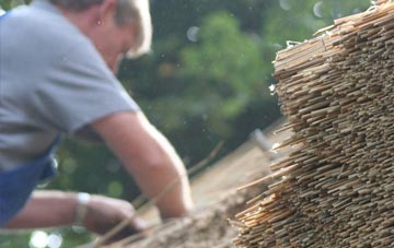 professional Ballydarrog thatchers