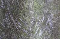 Ballydarrog fibreglass roof work